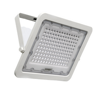 Load image into Gallery viewer, Flood light 100w Warm White
