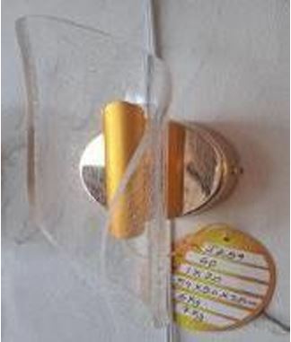Wall Lamp