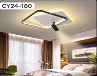 Ceiling Light with Track light