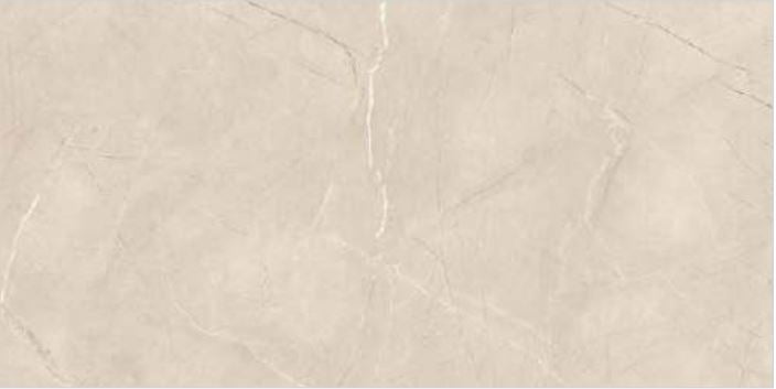 Simpolo Glazed Vitrified tiles 1006 Glossy 600x1200x8.5MM