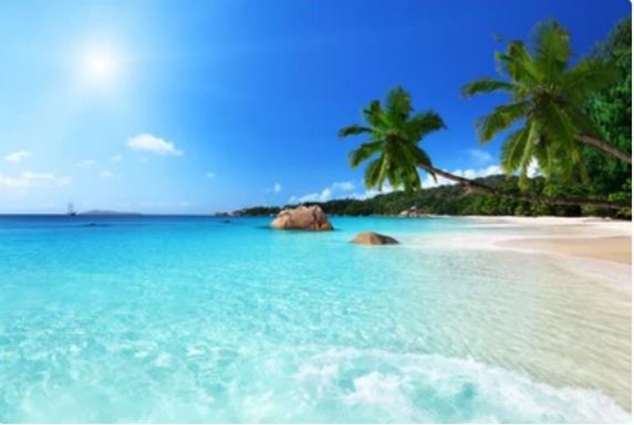 ANSE LAZIO BEACH PRASLIN Wall Art