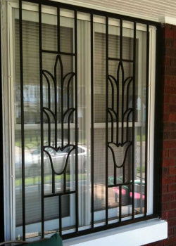 Burglar Bars and Security Doors