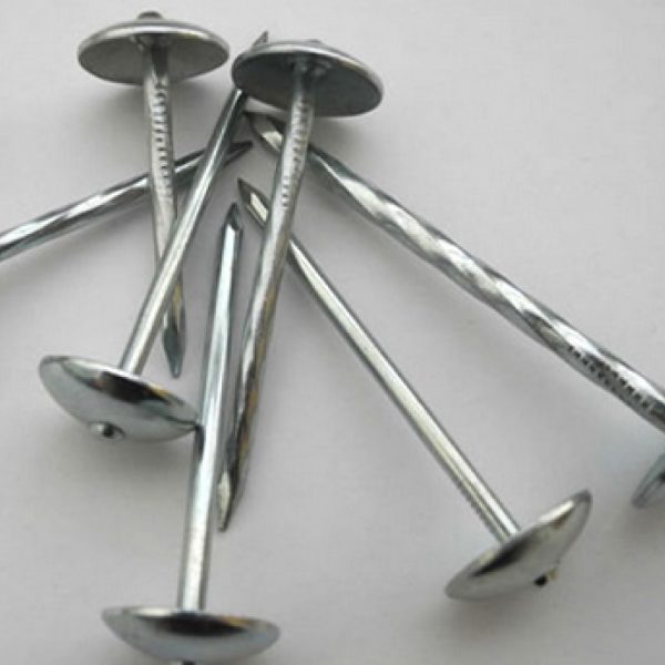 Roofing Nails