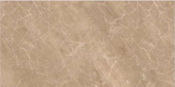 Simpolo Glazed Vitrified tiles 1009