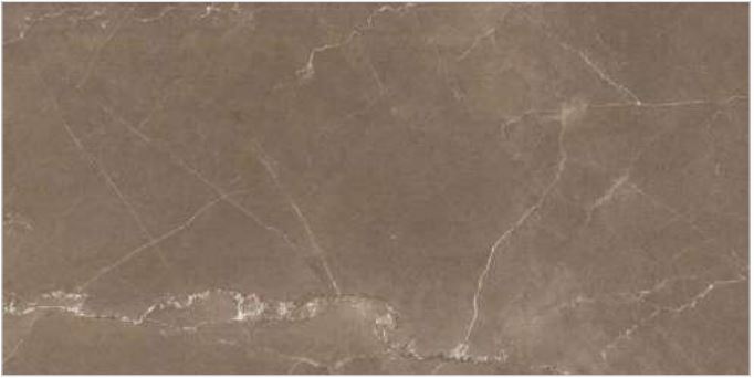 Simpolo Glazed Vitrified tiles 1013
