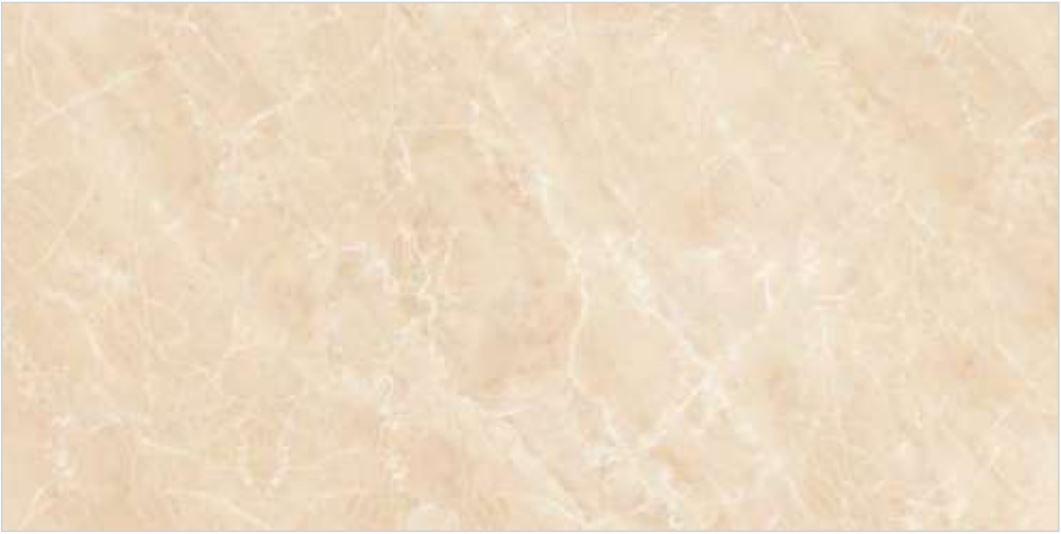 Simpolo Glazed Vitrified tiles 1010