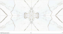 Load image into Gallery viewer, Simpolo Glazed Vitrified tiles - Bookmatch 2009 Bookmatch
