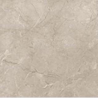 Simpolo Glazed Vitrified tiles 6031