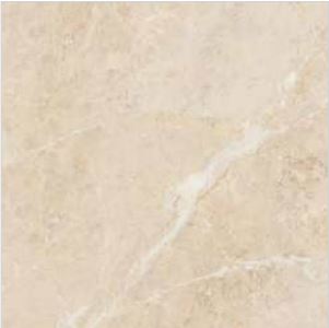 Simpolo Glazed Vitrified tiles 6067